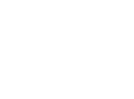 Havelsan